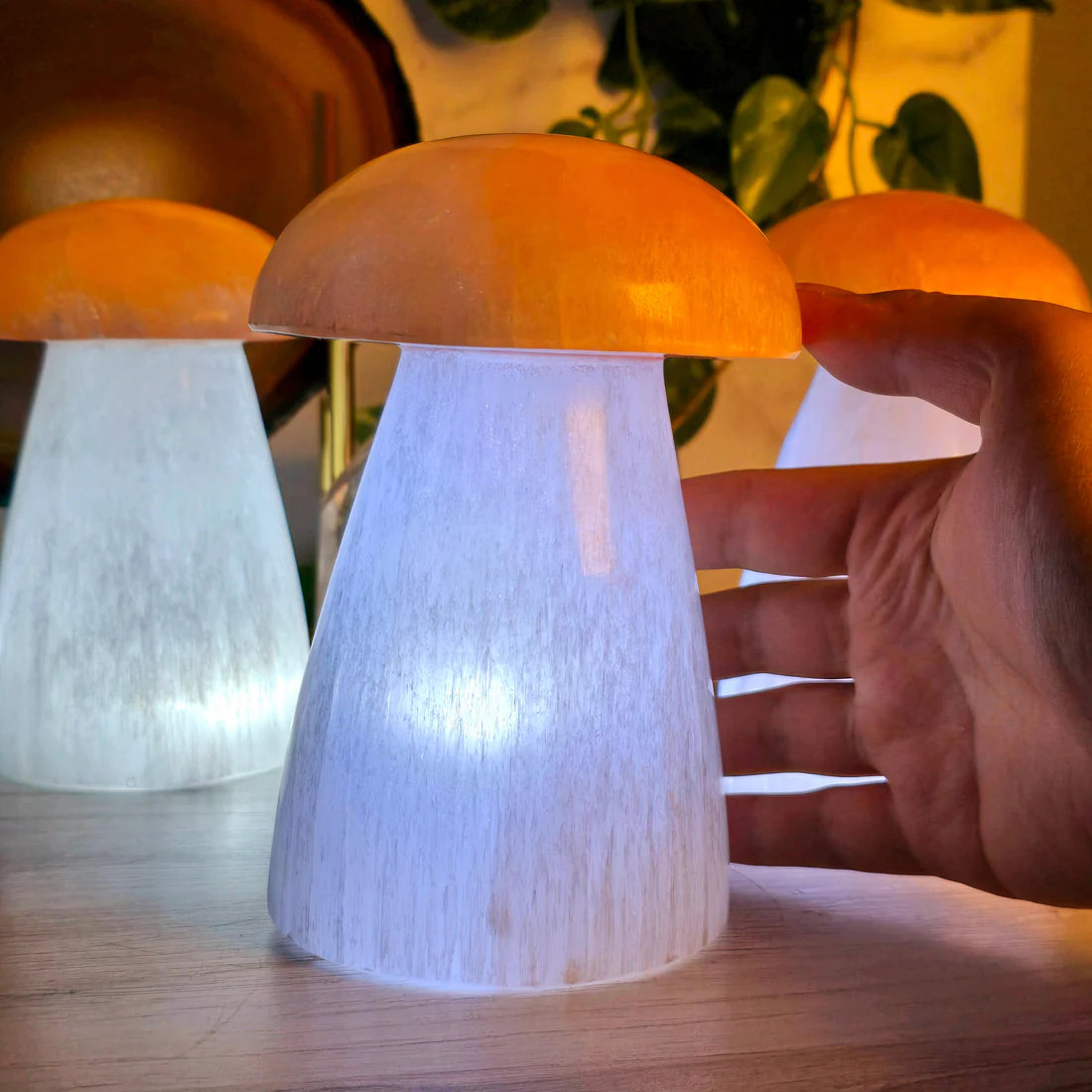 Selenite Crystal Mushroom Lamp