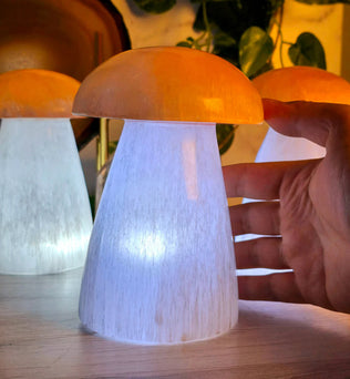 Selenite Crystal Mushroom Lamp