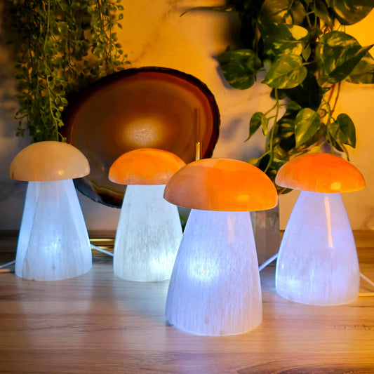 Selenite Crystal Mushroom Lamp