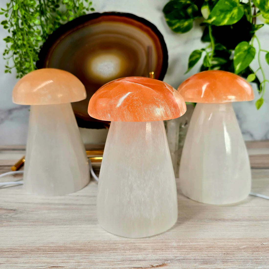 Selenite Crystal Mushroom Lamp