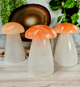 Selenite Crystal Mushroom Lamp