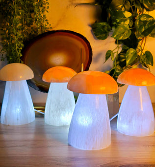 Selenite Crystal Mushroom Lamp